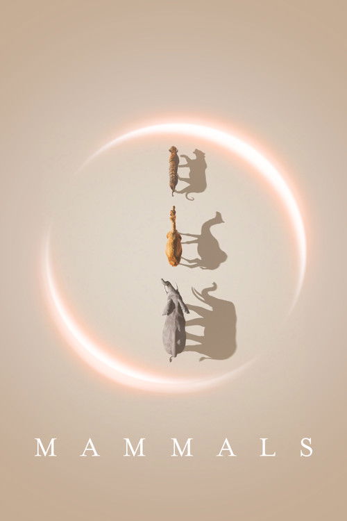 Mammals poster