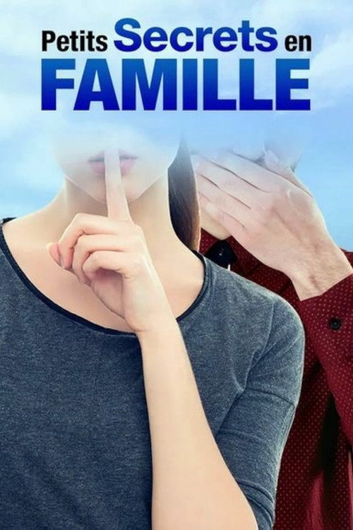 Petits secrets en famille poster