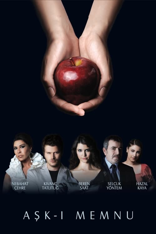 Eshq Mamnou' poster