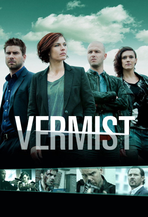 Vermist! poster