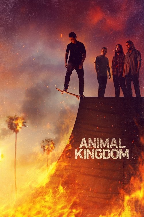 Animal poster