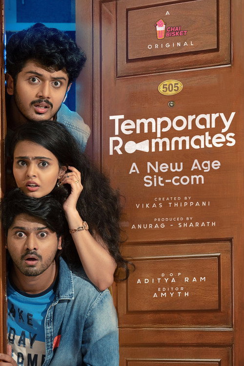 Temporary Roommates poster